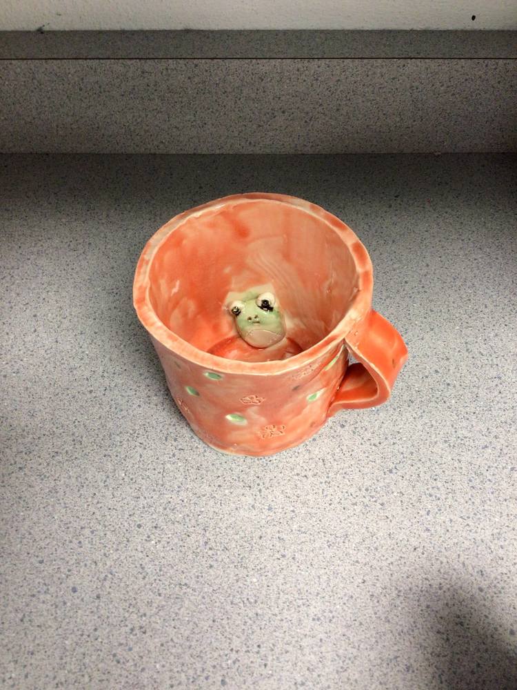 frogcup